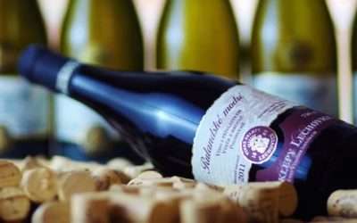 LTS enjoys new contract with Occasional Connoisseur