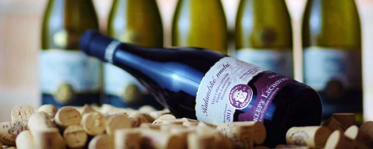 LTS enjoys new contract with Occasional Connoisseur